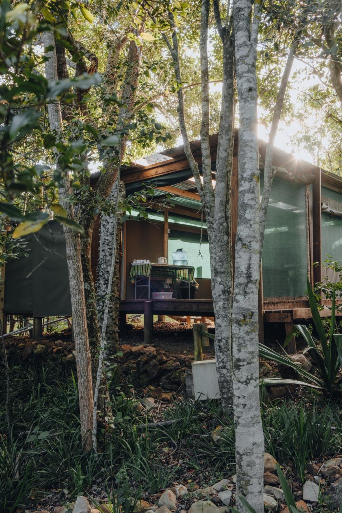 Firefly Falls Plettenberg Bay Exterior photo