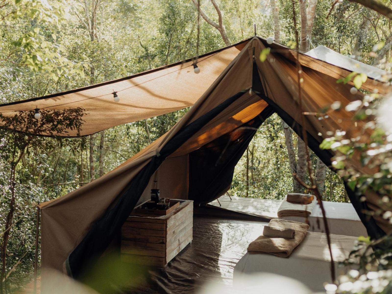 Firefly Falls Plettenberg Bay Exterior photo