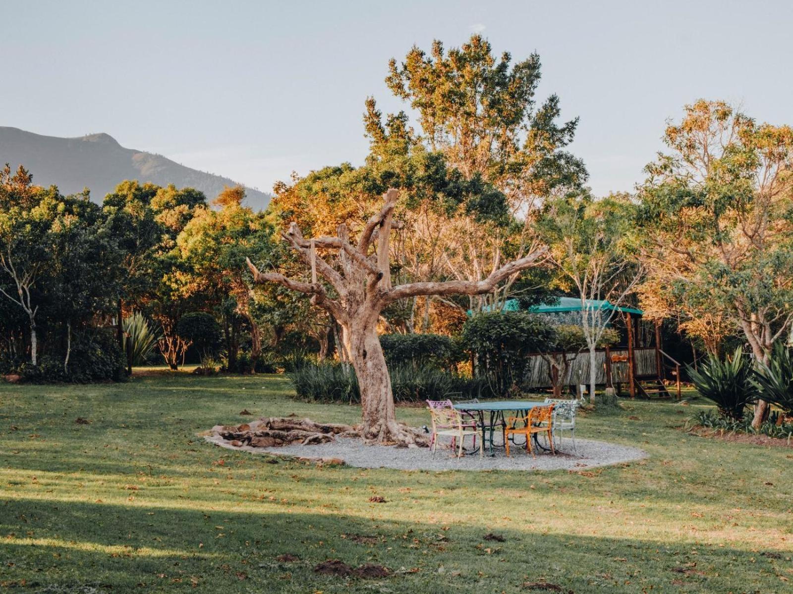 Firefly Falls Plettenberg Bay Exterior photo